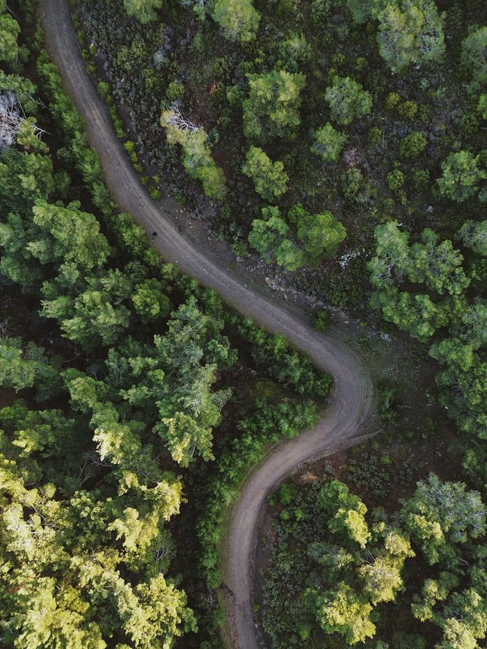 A winding road cuts through a lush green forest, captured from above.